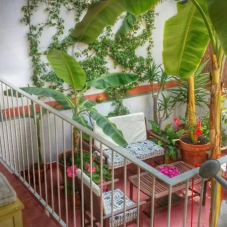 Preciosa Casa En El Centro Con Terraza Y Patio Appartement *