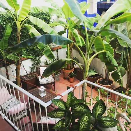 Preciosa Casa En El Centro Con Terraza Y Patio Appartamento