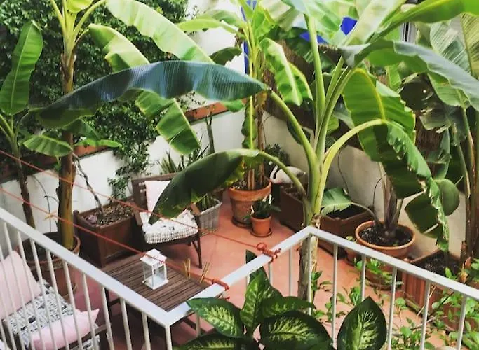 Preciosa Casa En El Centro Con Terraza Y Patio Διαμέρισμα